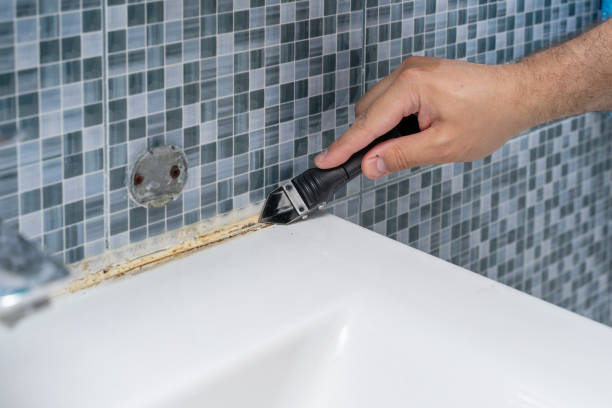 Reliable Vinton, IA Mold Removal Solutions